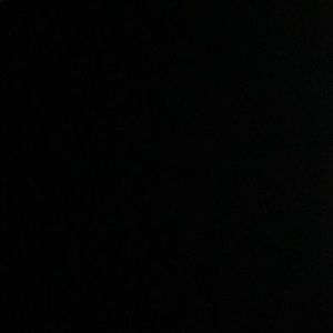 Meet your Posher, Dinora